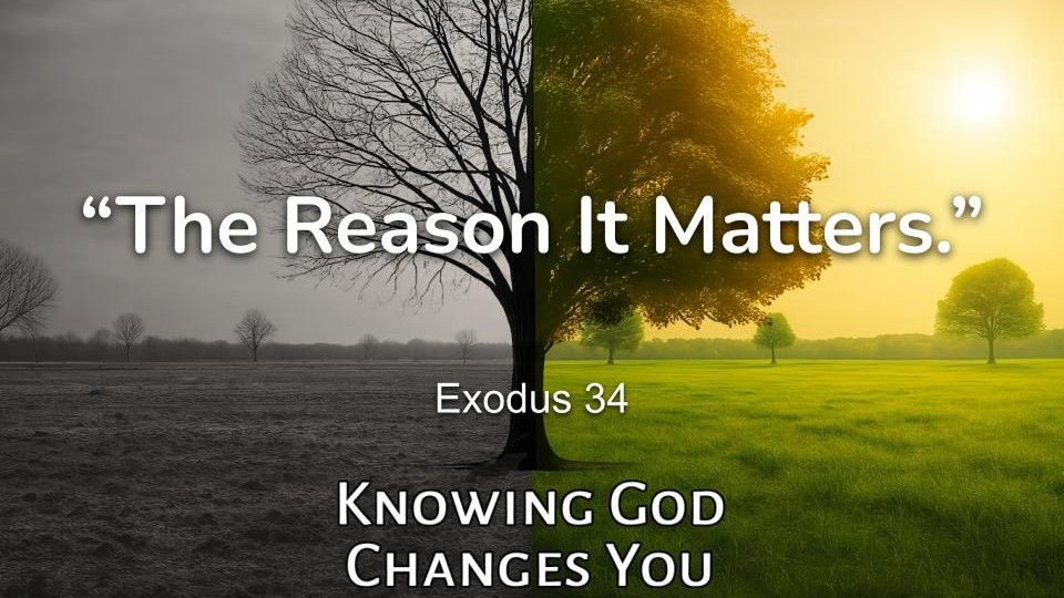 The Reason It&nbsp;Matters